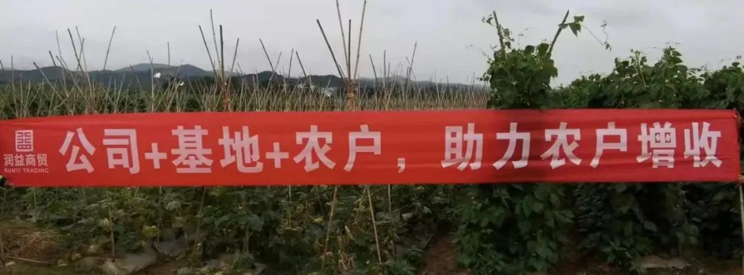 微信圖片_20220317112443 微信圖片_20220317112443