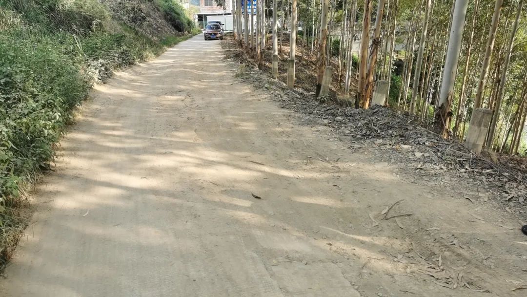 汪鄉(xiāng)調(diào)研2 汪鄉(xiāng)調(diào)研2